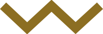 W - Symbol - Adventureous - Brown